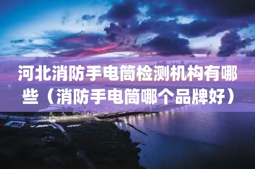 河北消防手电筒检测机构有哪些（消防手电筒哪个品牌好）